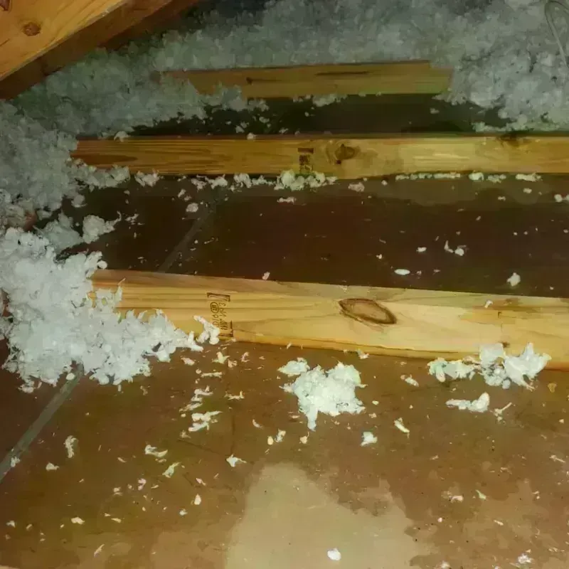 Attic Water Damage in Honey Grove, TX